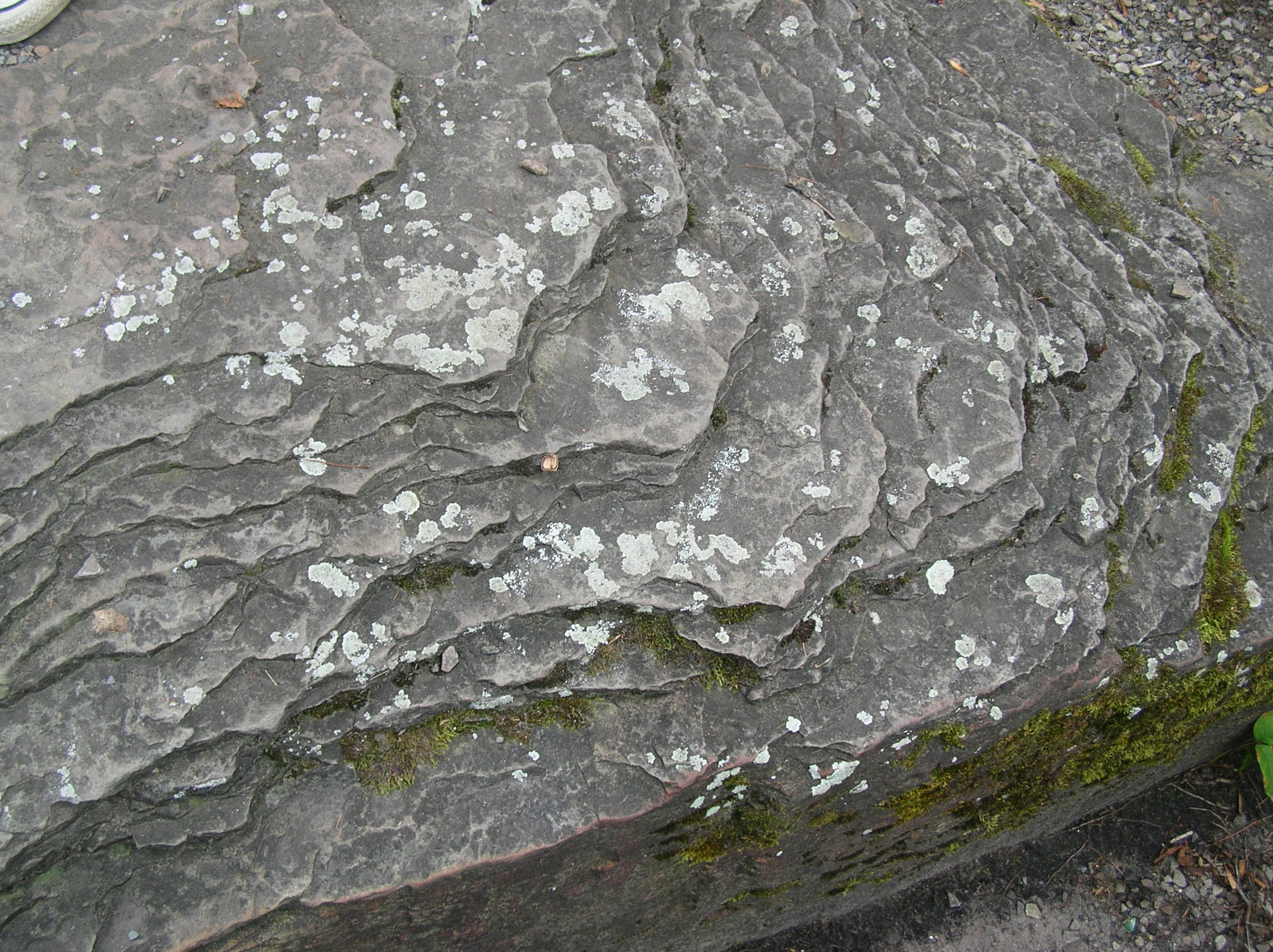 tab 1