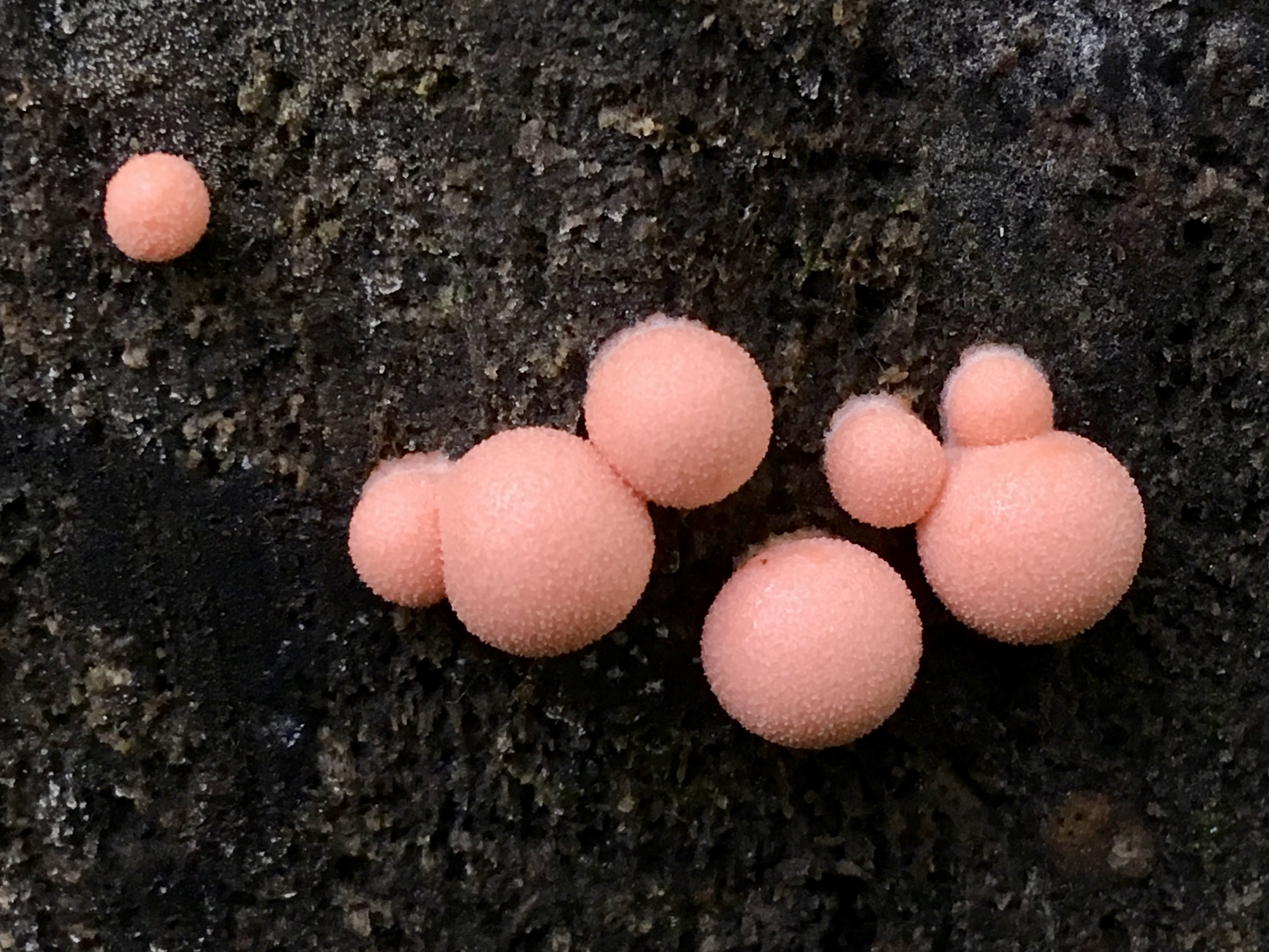 tab 0